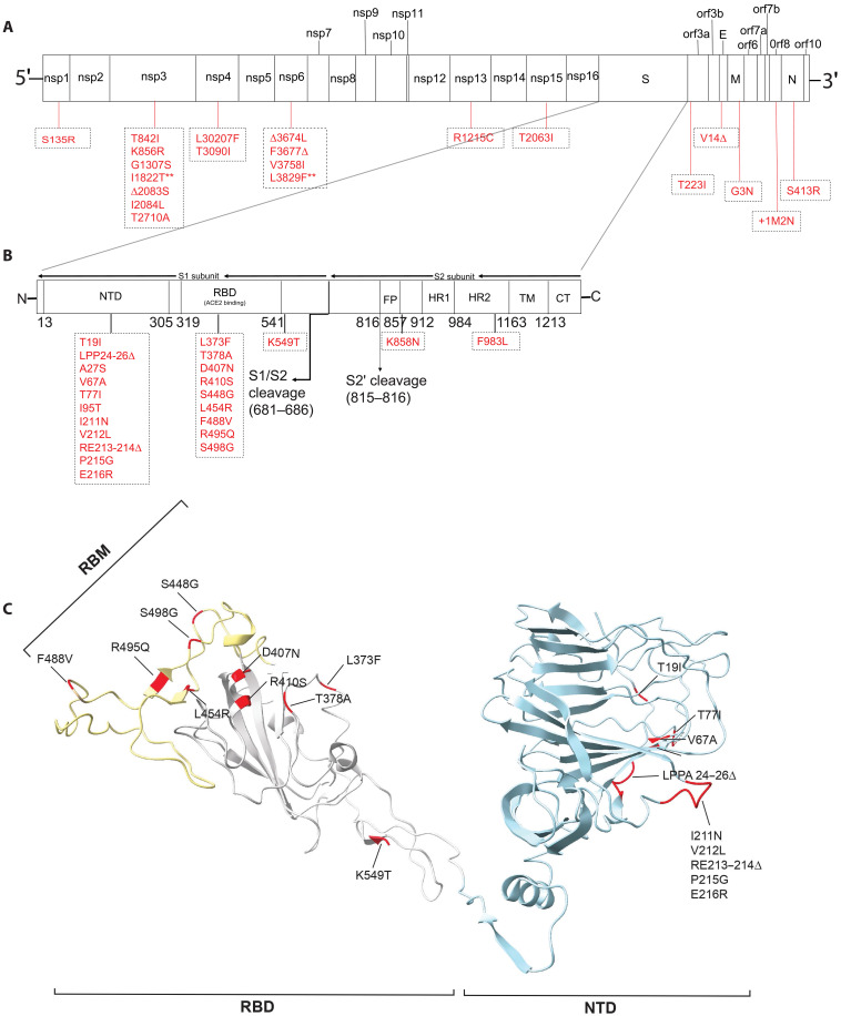 Fig. 4.