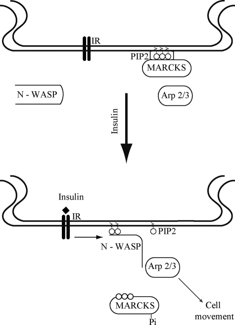 FIGURE 9.