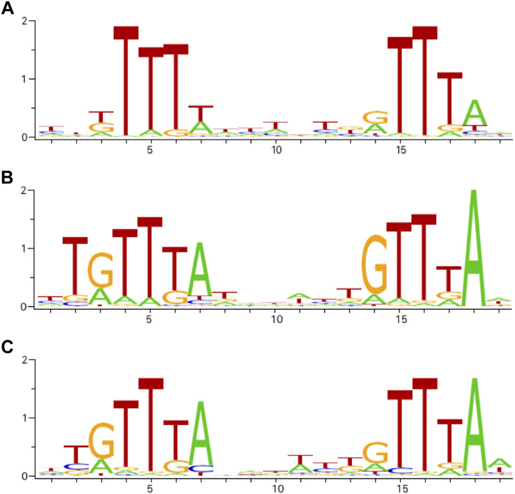 FIGURE 2