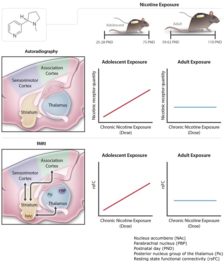 Graphical abstract