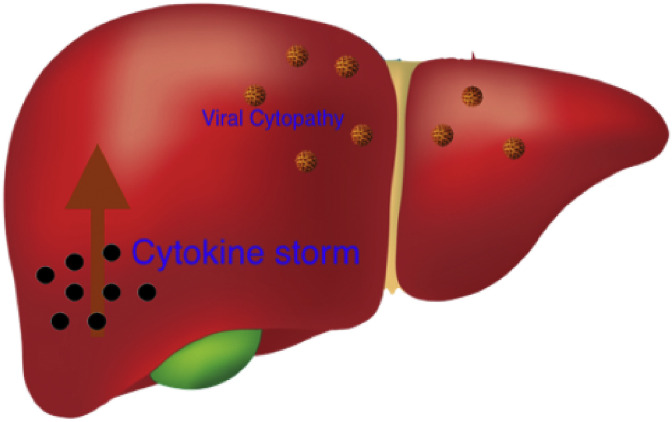 Fig. 2