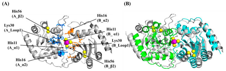 Figure 10