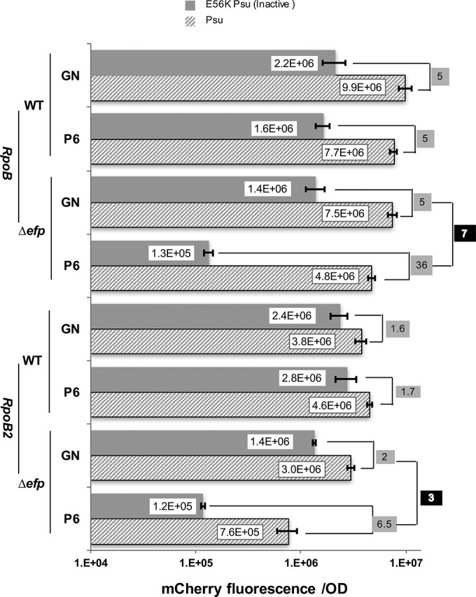 FIG 3 