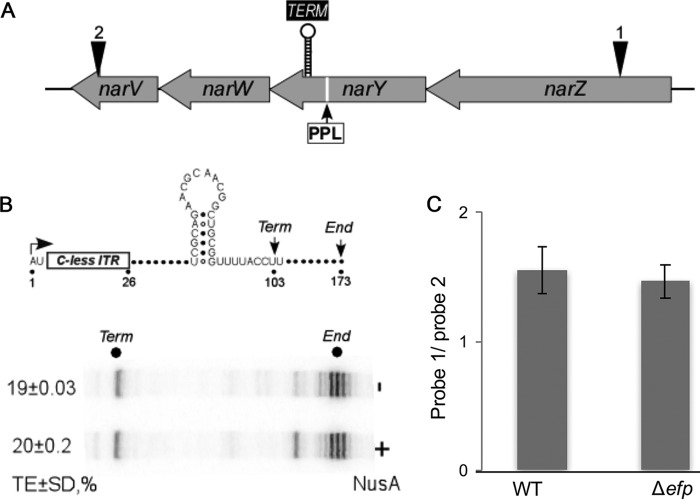 FIG 7 