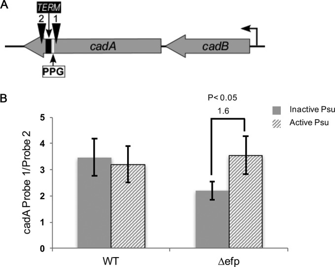 FIG 5 