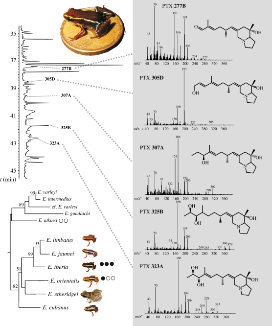 Figure 1.