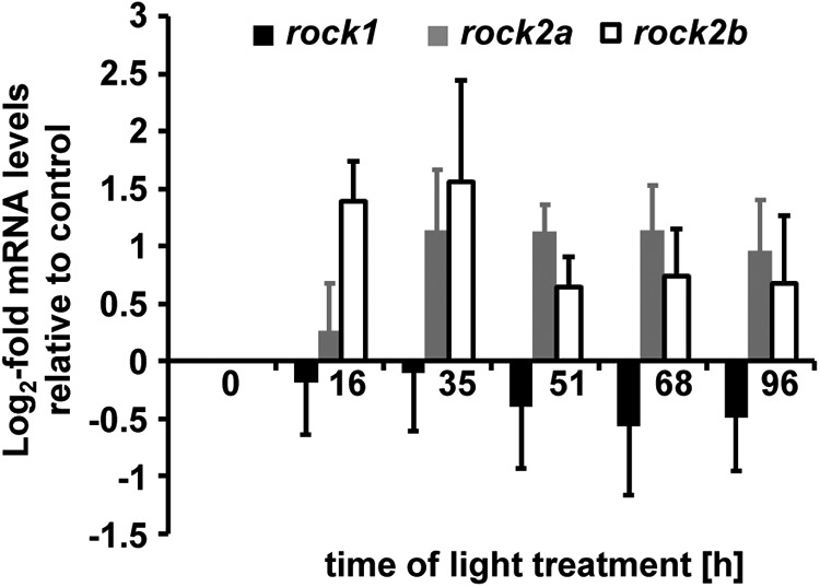 Figure 5.