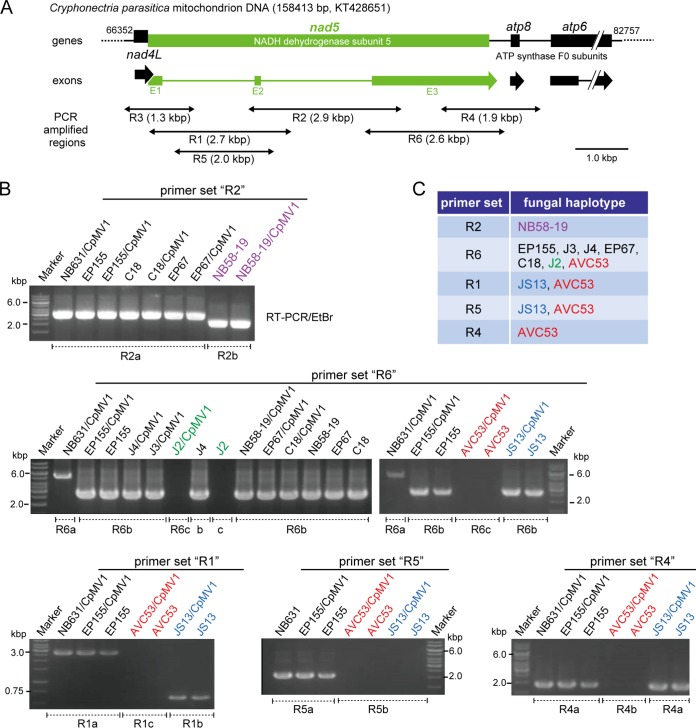 FIG 3