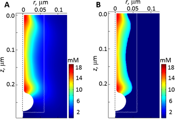 FIGURE 5: