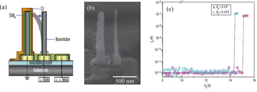 Fig. 20