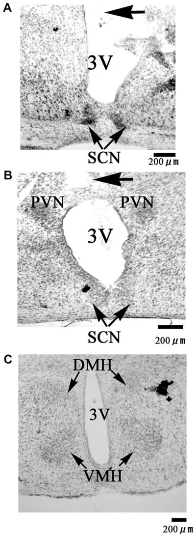 Fig. 5