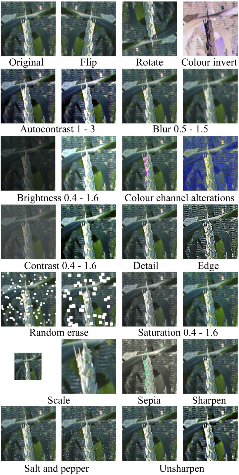 Figure 3.