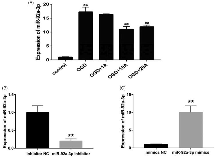 Figure 6.