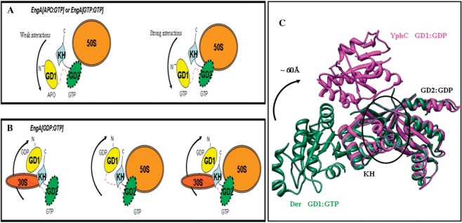 Figure 5.