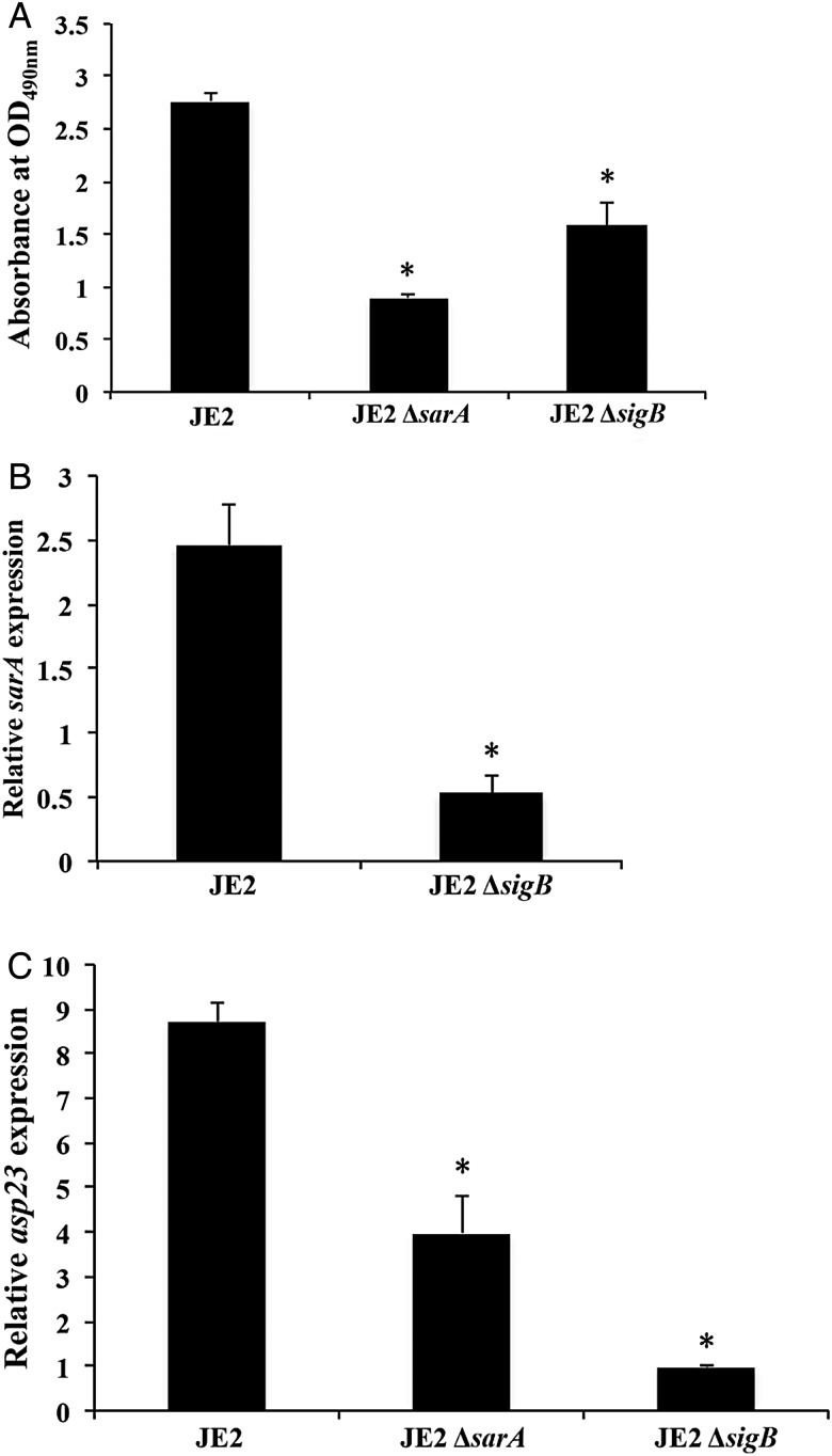 Figure 5.