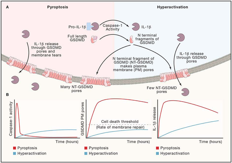 Figure 4: