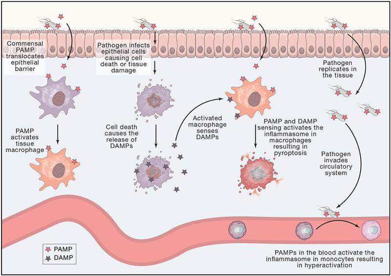 Figure 1: