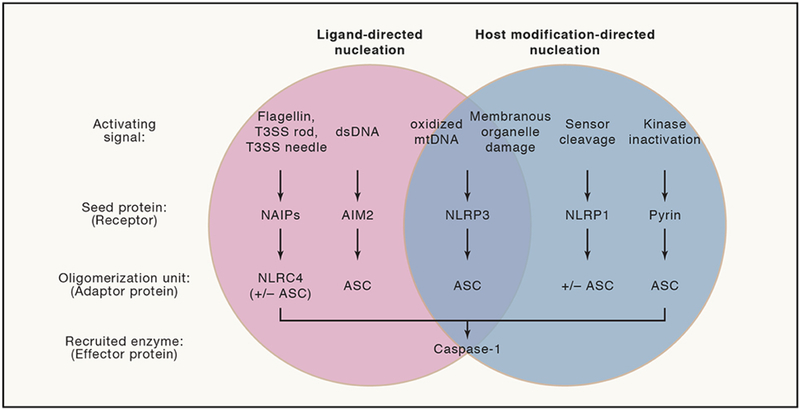 Figure 3: