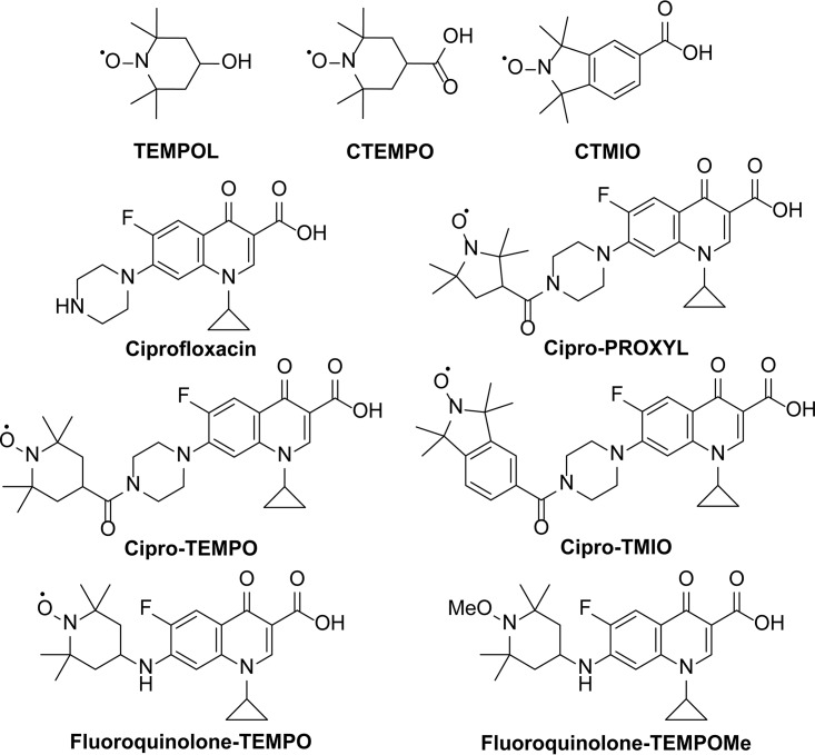 FIG 1