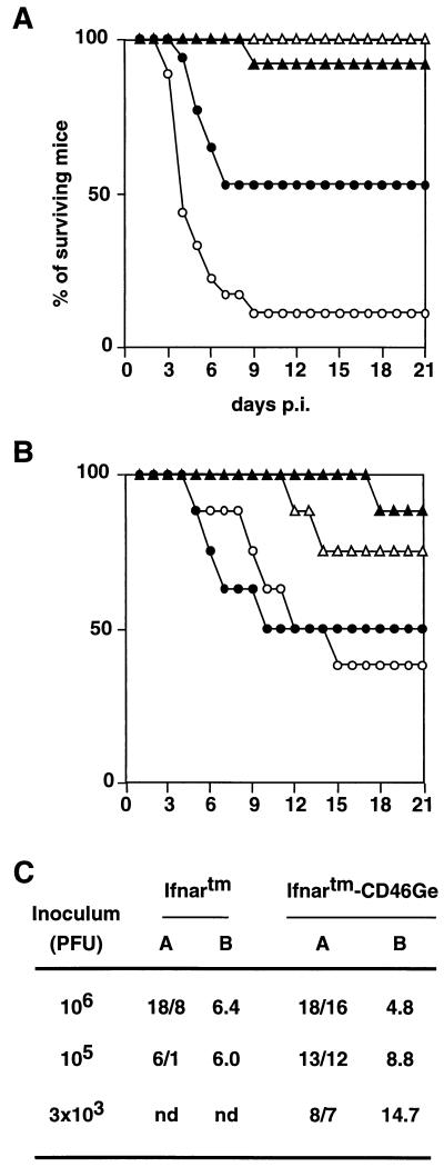 FIG. 5