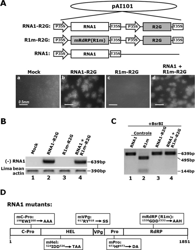 FIG 4