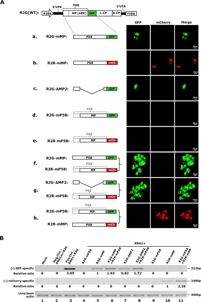 FIG 3