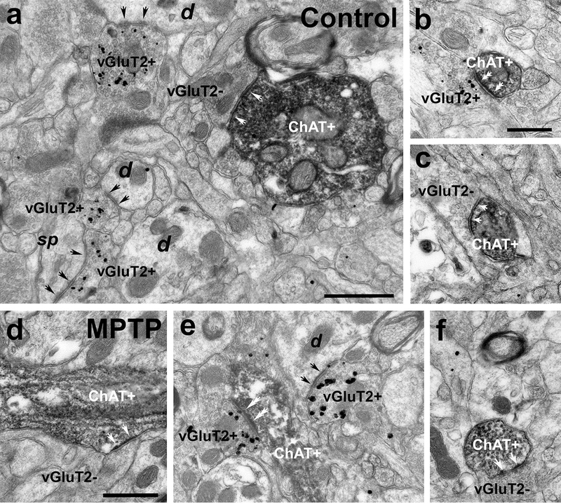 Fig. 6 :