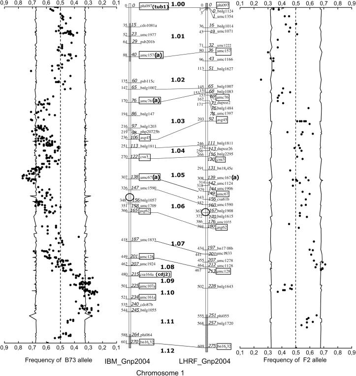 Figure 1.—