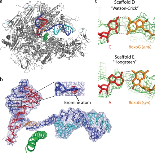 FIGURE 3.