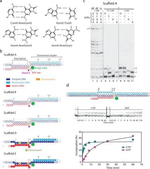 FIGURE 1.