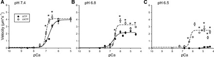 Fig. 5.