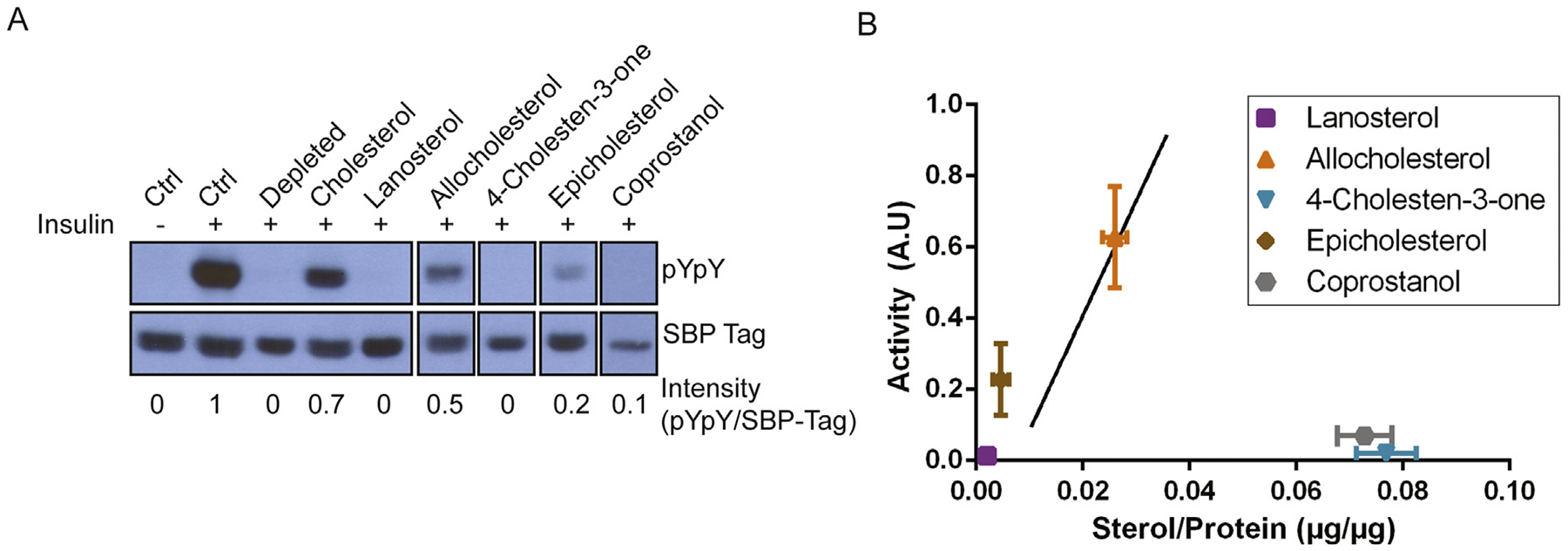 Fig. 8.