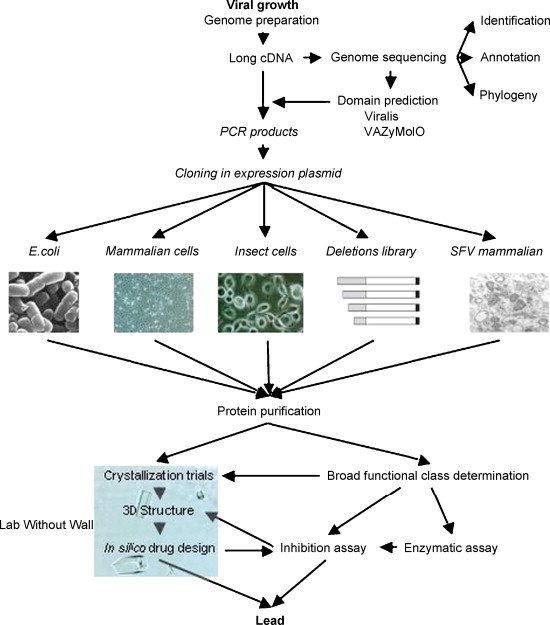 Fig. 2