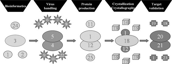 Fig. 1