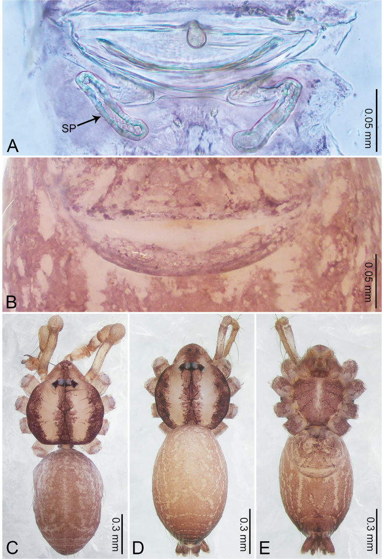 Figure 16.
