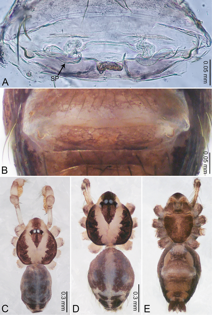 Figure 26.