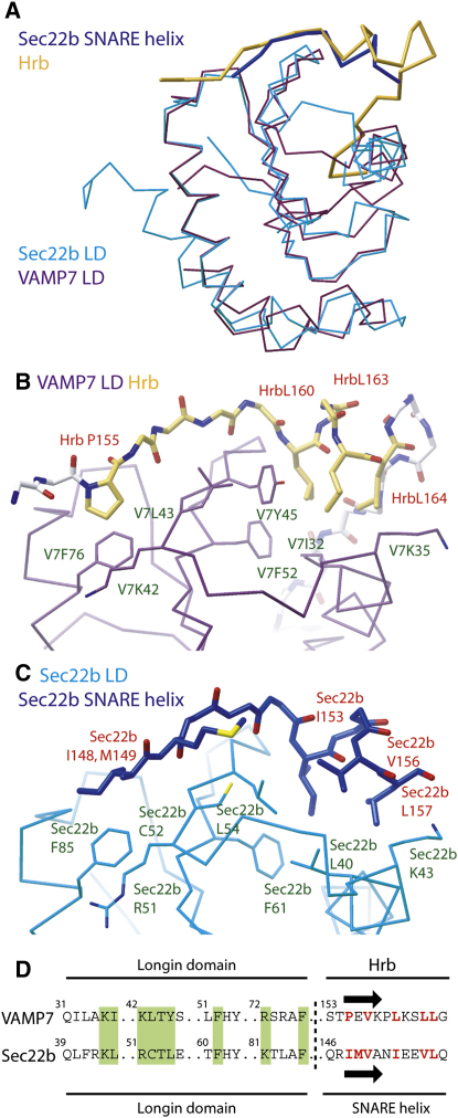 Figure 6