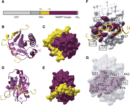 Figure 3