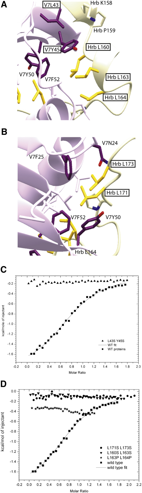 Figure 4