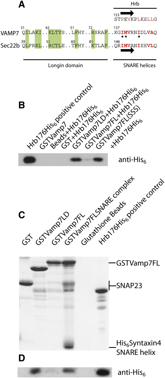 Figure 7