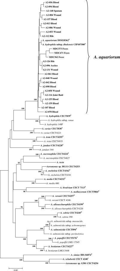 FIG. 2.