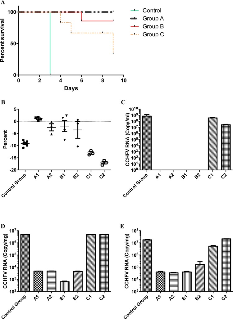 FIG 2