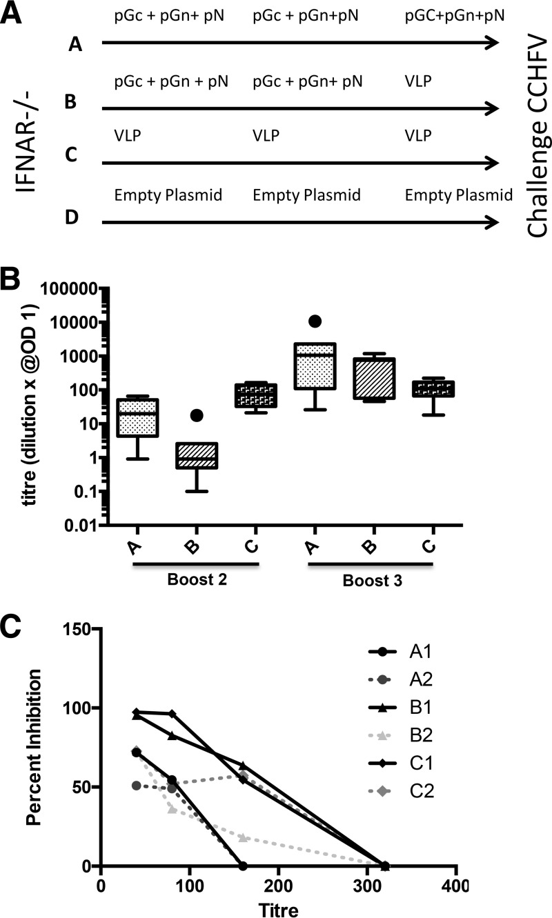 FIG 1