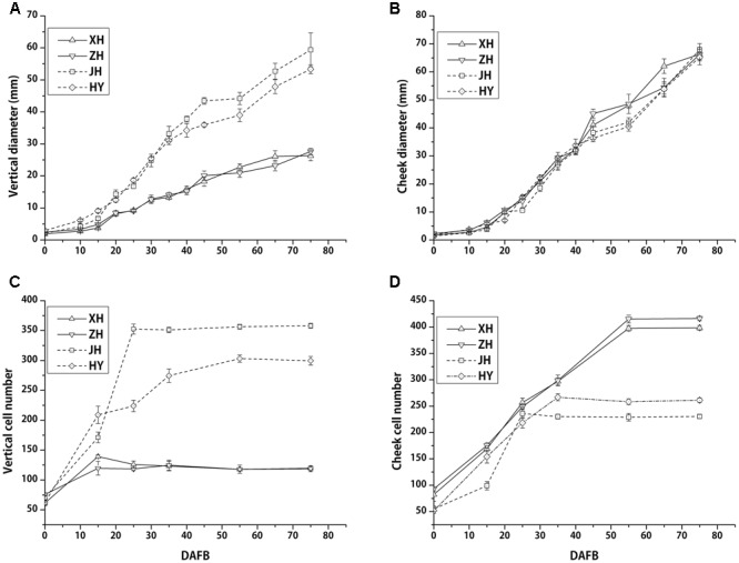 FIGURE 2