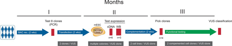 Figure 5: