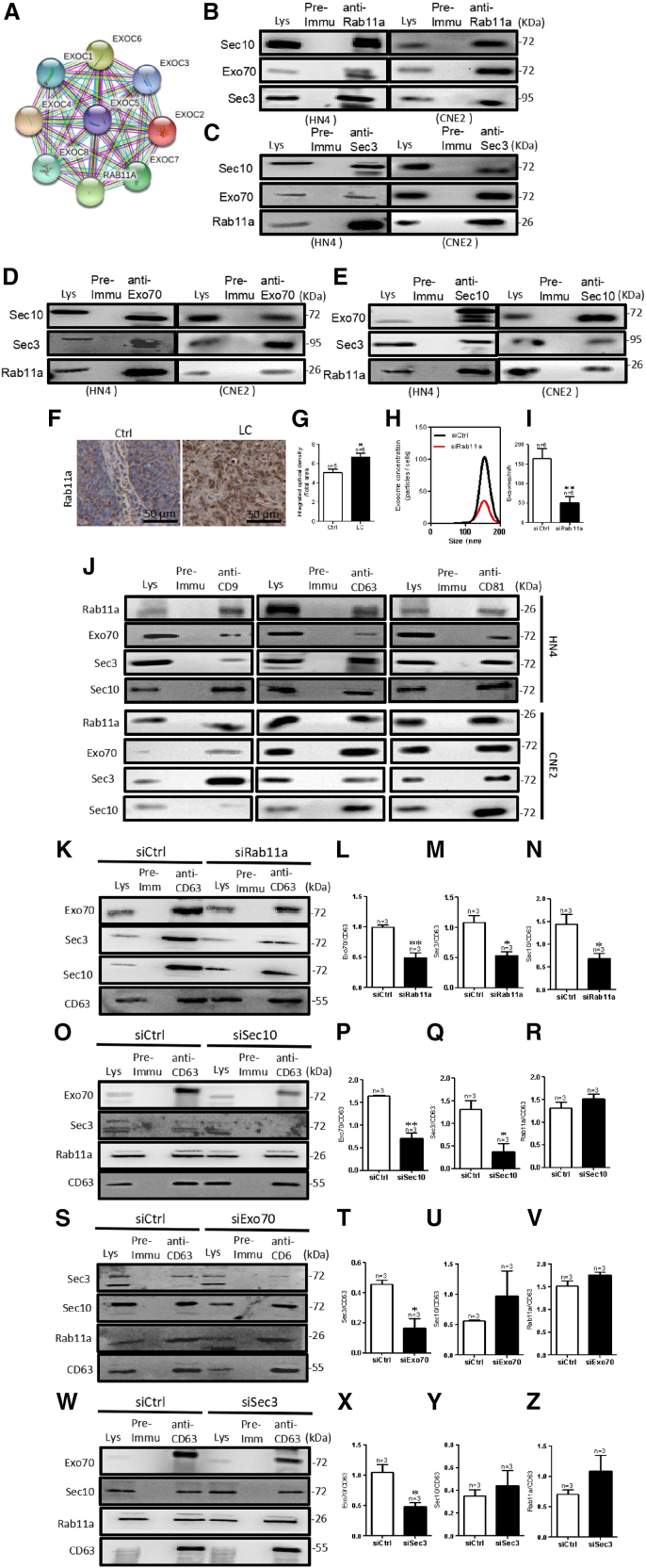 Figure 5