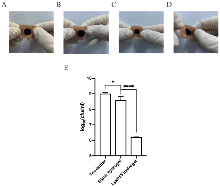 Figure 5