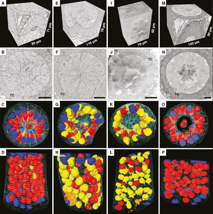 Fig. 3.