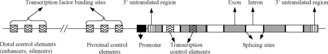 FIG. 1.