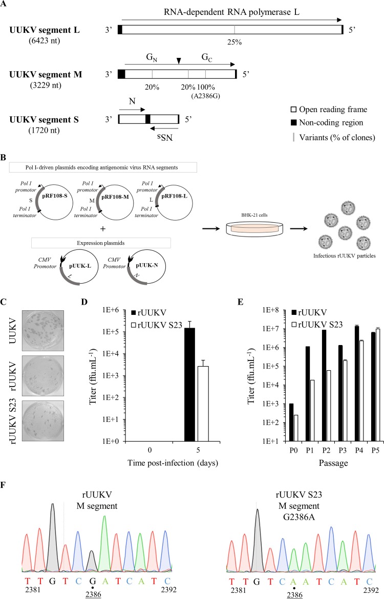 FIG 1